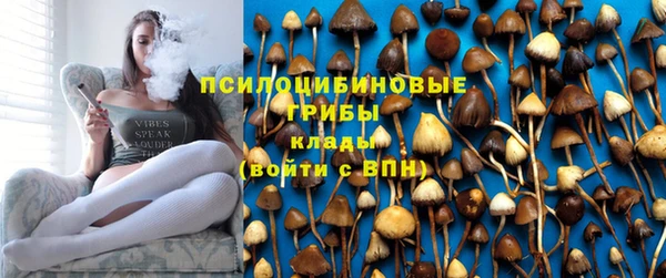 мескалин Алексин
