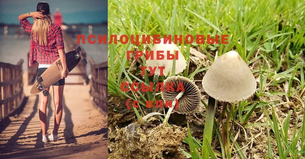 мескалин Алексин