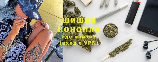 шишки Алексеевка