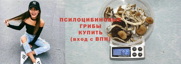мескалин Алексин